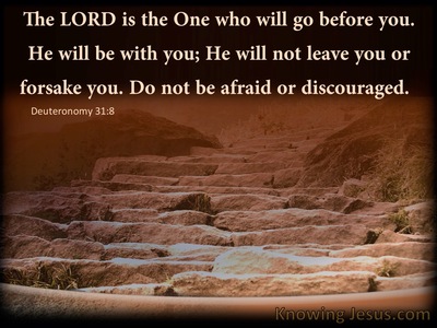 Deuteronomy 31:8 The Lord Is The One Who Will Go Before You (brown)